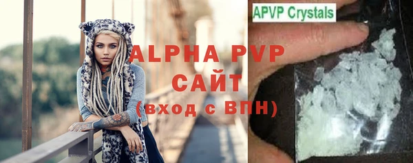 прущие грибы Нягань
