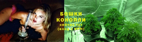 прущие грибы Нягань