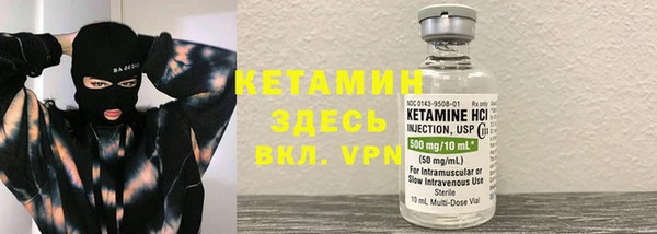 прущие грибы Нягань