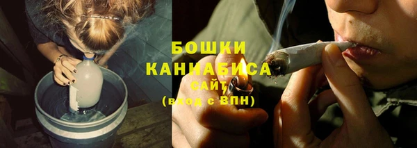 прущие грибы Нягань