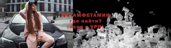 прущие грибы Нягань