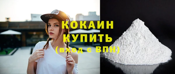 прущая мука Няндома
