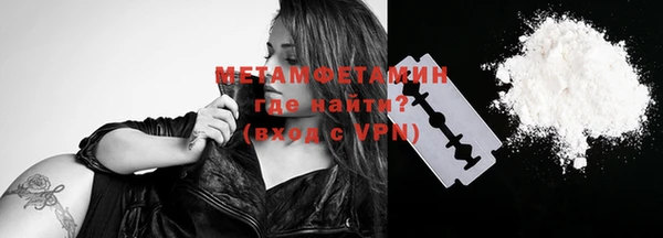 прущие грибы Нягань