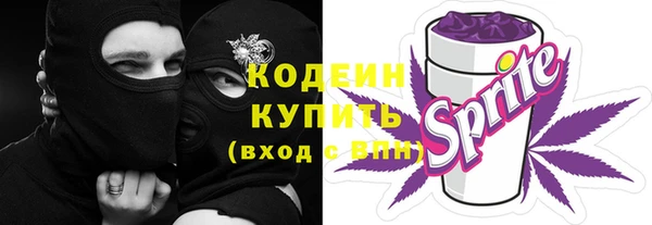 прущая мука Няндома
