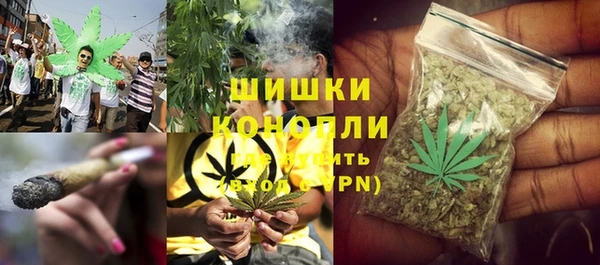 прущая мука Няндома