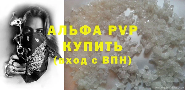 прущие грибы Нягань