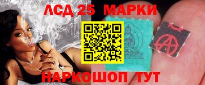 молекула духа Новозыбков