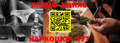 молекула духа Новозыбков