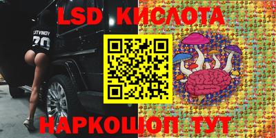 скорость Новодвинск