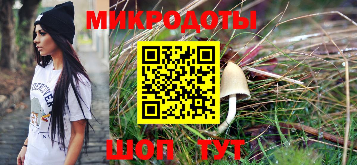 Тихорецк  Псилоцибиновые грибы прущие грибы  Галлюциногенные грибы мицелий  Вход с VPN 